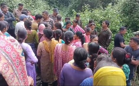उत्तराखंड: अल्मोड़ा के सल्ट में बाघ के हमले से महिला की मौत, बढ़ रहा वन्यजीवों का आतंक